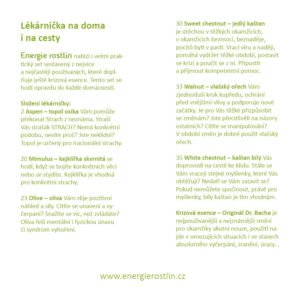 Energie rostlin_Bachovy esence jako lékárna na cesty i na doma_cestovní balení