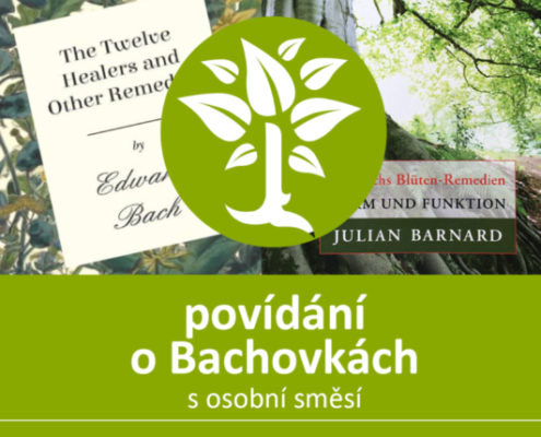 Seznámení se s Bachovými esencemi - Energie rostlin