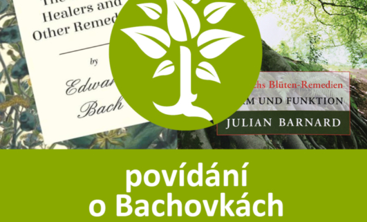 Seznámení se s Bachovými esencemi - Energie rostlin