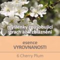 Bachova květová esence 6 – Cherry Plum