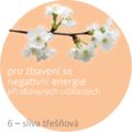 Bachovy kapky – 6 – Cherry Plum, slíva třešňová