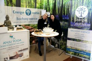 Energie rostlin _ Lucie Marešová_Evolutiomn festival