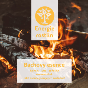 vedená meditace k Bachovým květům
