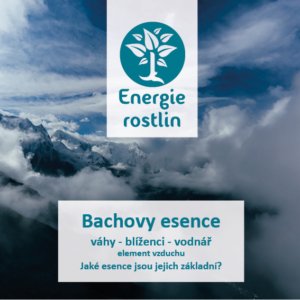 vedená meditace k Bachovým květům
