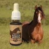 Rescue remedy - pro koně krizovka