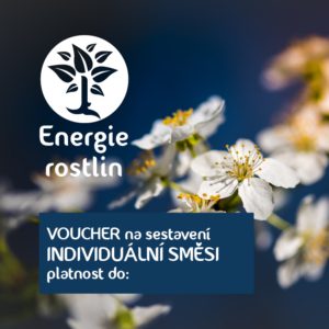 Voucher - dárkový poukaz na sestavení individuální směsi Bachových esencí Energie rostlin