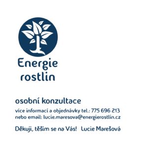 Kontakt - voucher - konzultace Energie rostlin
