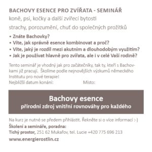 SEminář Bachovy esence pro zvířata Energie rostlin