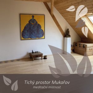Bachovy květy - afirmace a meditace Tichý prostor Mukařov