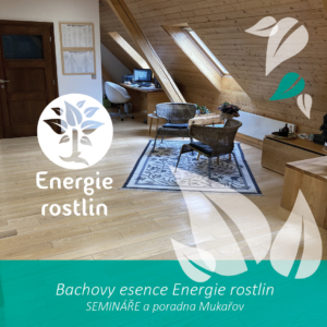 Poradna - individuální směsi Bachových esencí - semináře a kurzy Energie rostlin - |Tichý prostor Mukařov