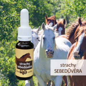 směs Bachových esencí na strachy a posílení sebedůvěry podle Dr. Bacha pro koně - Energie rostlin