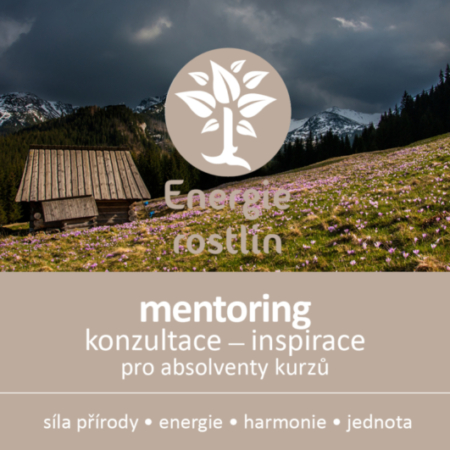 konzultace, mentoring - inspirace k práci s Bachovými květy