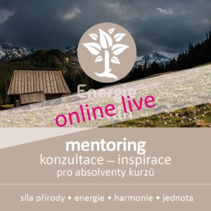 konzultace ONLINE LIVE, mentoring - inspirace k práci s Bachovými květy
