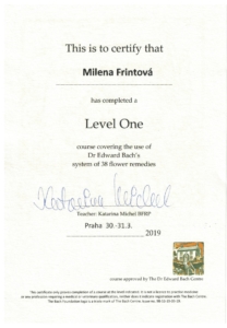 Level 1 Bachovo centrum - certifikát