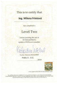 Level 2 Bachovo centrum - certifikát