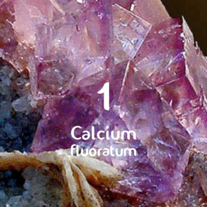 Calcium fluoratum_D12_Dr. Schuessler