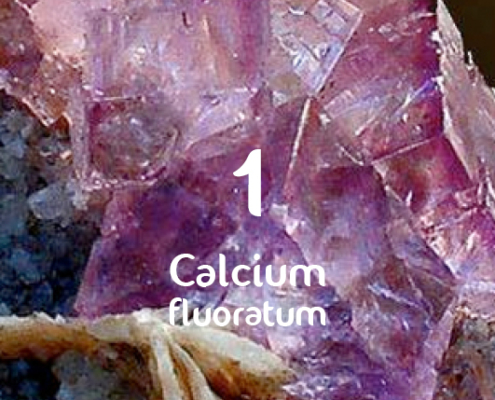 Calcium fluoratum_D12_Dr. Schuessler