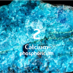 Schüsslerova sůl č. 2 Calcium phosphoricum D6