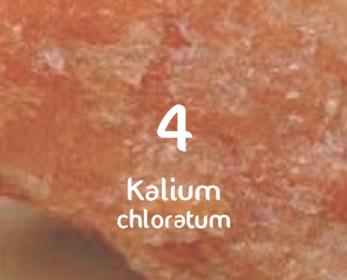 Schüsslerova sůl č. 4 Kalium chloratum D6
