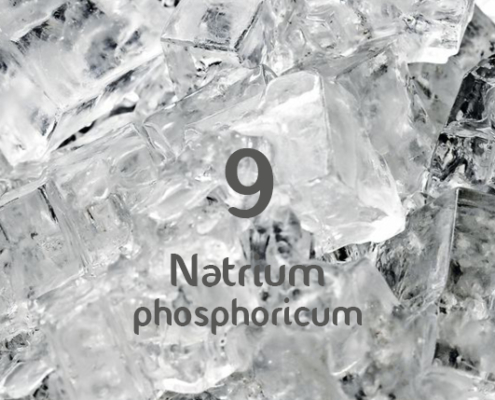 Schüsslerova sůl č. 9 Natrium phosphoricum D6
