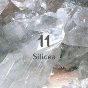 Schüsslerova sůl č. 11 Silicea D12