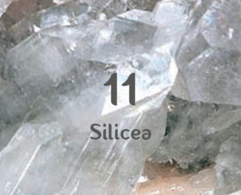 Schüsslerova sůl č. 11 Silicea D12