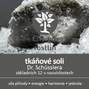 Tkáňové soli Dr. Schüsslera a jejich používání - seminář Energie rostlin