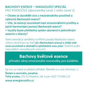 Bachovy esence - efektivní cesta v praxi poradce a terapeuta Energie rostlin