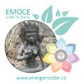 emocionální stavy dle Dr. Bacha u Energie rostlin