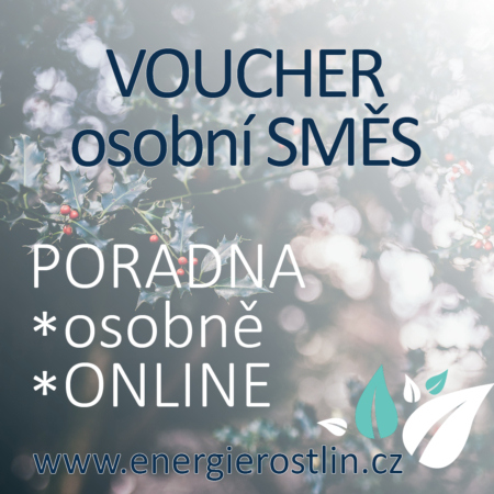 VOUCHER na sestavení individuální směsi Energie rostlin