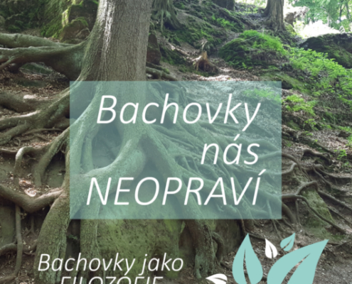 Bachovky nás nespasí – spasme se sami!