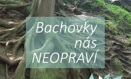 Bachovky nás nespasí – spasme se sami!