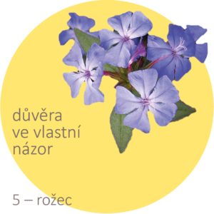 Bachovy kapky – 5 – rožec, Cerato