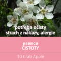 Bachova květová esence 10 – Crab Apple