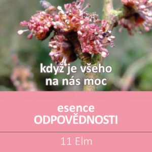 Bachova květová esence 10 – Elm