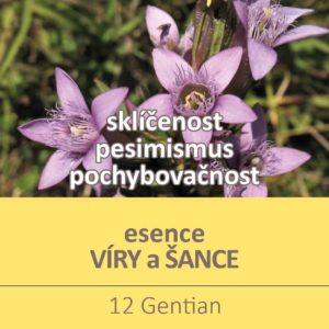 Bachova květová esence 12 – Gentian