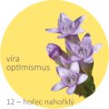 Bachovy kapky – 12 – hořec nahořklý, Gentian