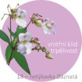 Bachovy kapky – 18 – netýkavka žláznatá, Impatiens