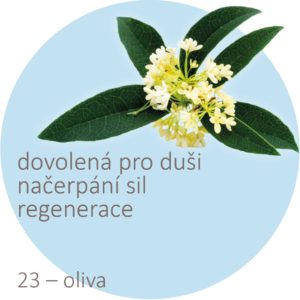 Bachovy kapky – 23 – oliva, Olive