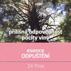 Bachova květová esence 24 – Pine