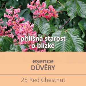 Bachova květová esence 25 – Red Chestnut