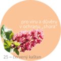 Bachovy kapky – 25 – červený kaštan, Red Chestnut
