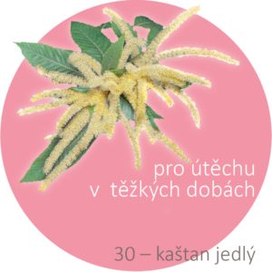 Bachovy kapky – 30 – kaštan jedlý, Sweet Chestnut