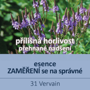 Bachova květová esence 31 – Vervain