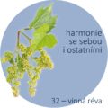 Bachovy kapky – 32 – vinná réva, Vine