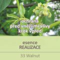 Bachova květová esence 33 – Walnut