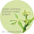 Bachovy kapky – 33 – vlašský ořech, Walnut