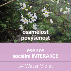 Bachova květová esence 34 – Water Violet