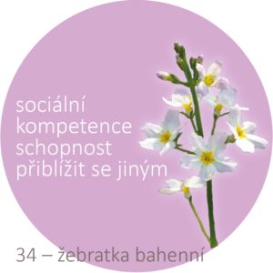 Bachovy kapky – 34 – žebratka bahenní Water Violet