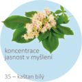 Bachovy kapky – 35 – kaštan bílý, White Chestnut